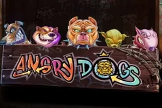 Angry Dogs