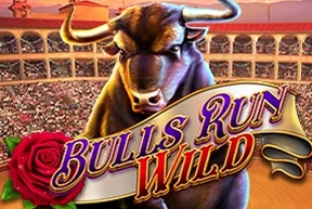 Bulls Run Wild